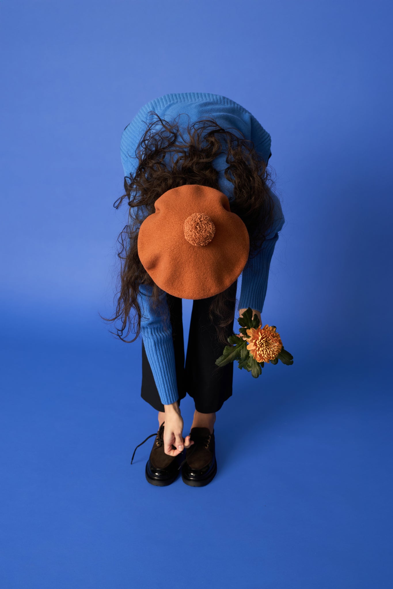 POM POM -baskeri, Sugar Brown