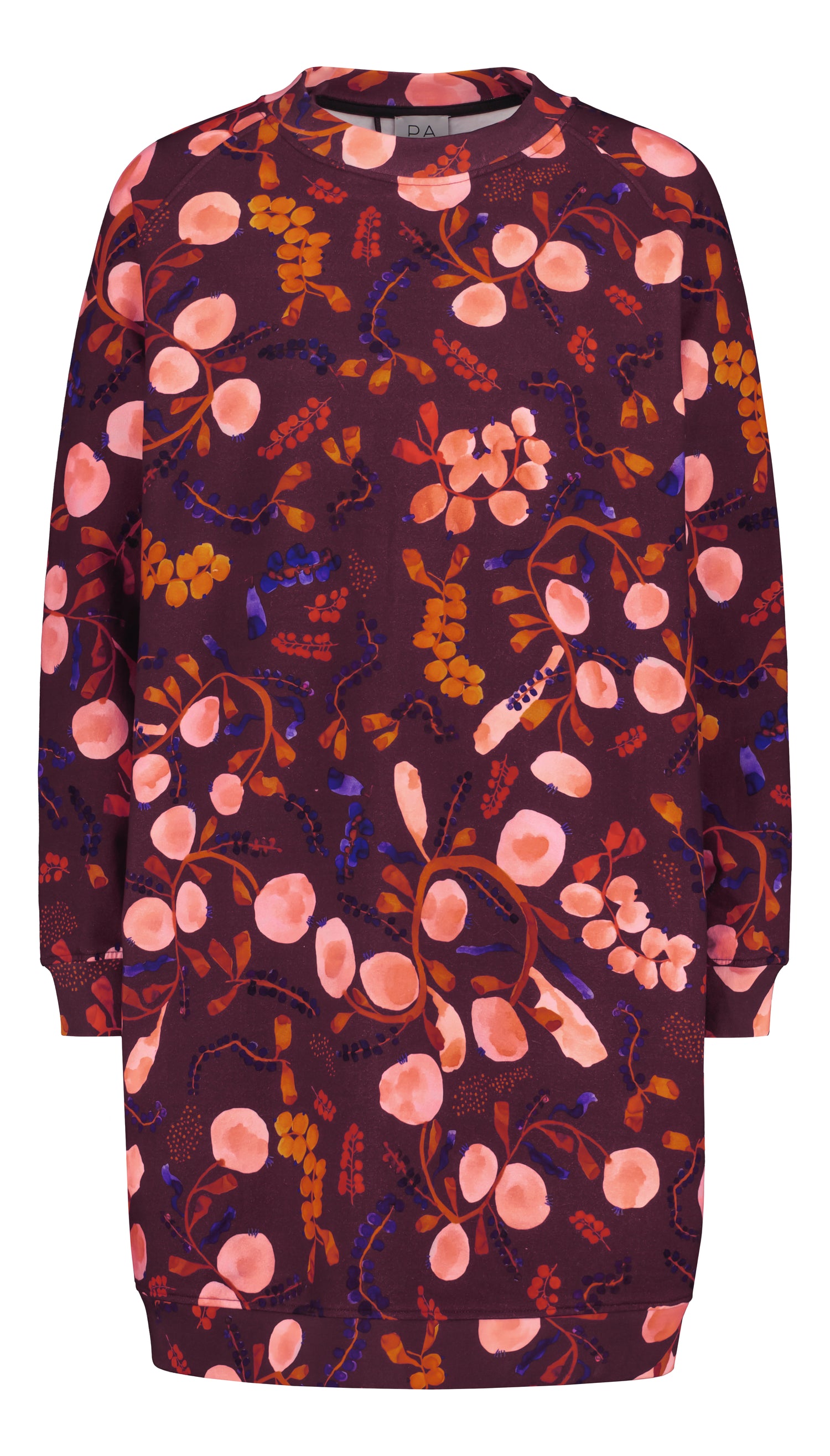 COLLEGEMEKKO, Berrycloud